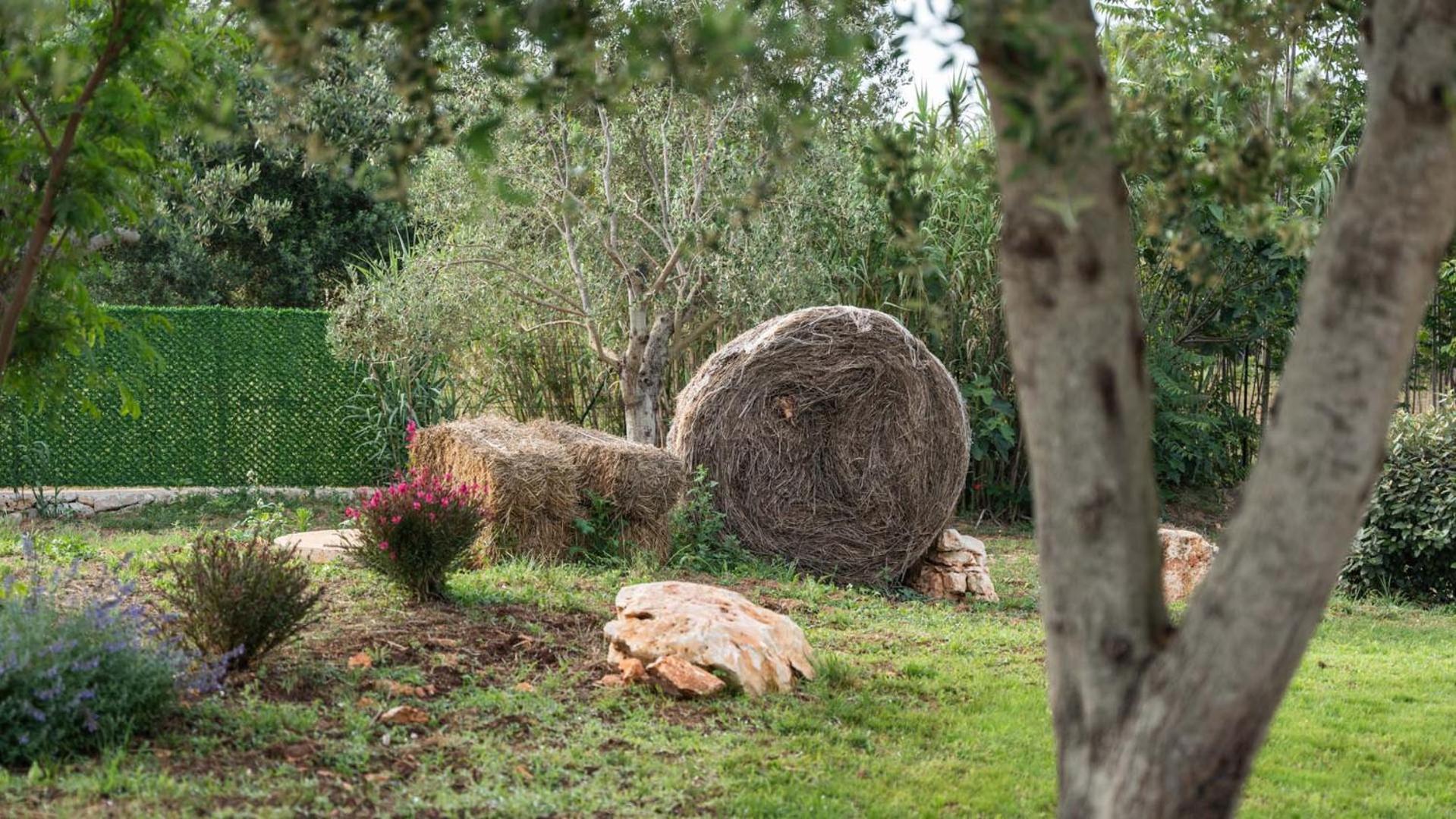Petranima Wellness In Trulli Bed and Breakfast Ostuni Εξωτερικό φωτογραφία
